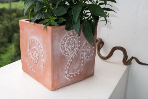 mypots-5