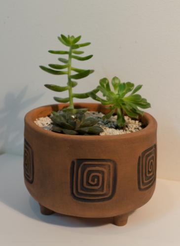 mypots-6